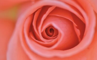 神聖スポットへのアプローチという、何よりも深い世界。